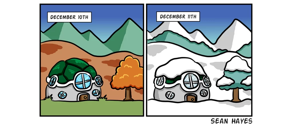 4-15: Fall to Winter